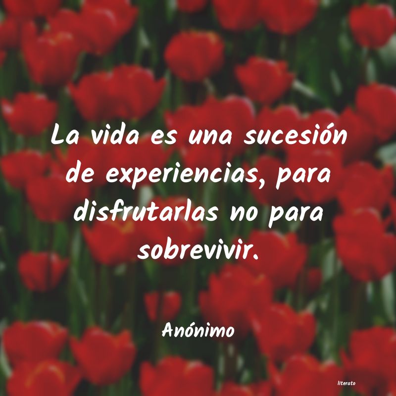 frases