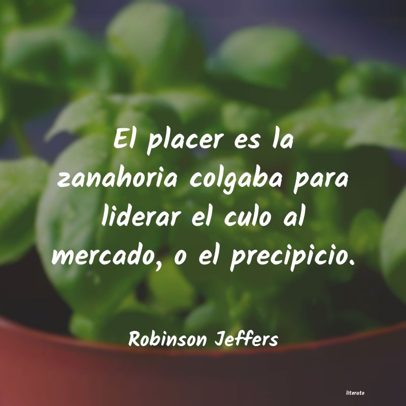 Frases de Robinson Jeffers