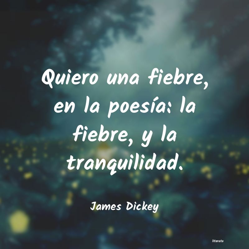 Frases de James Dickey