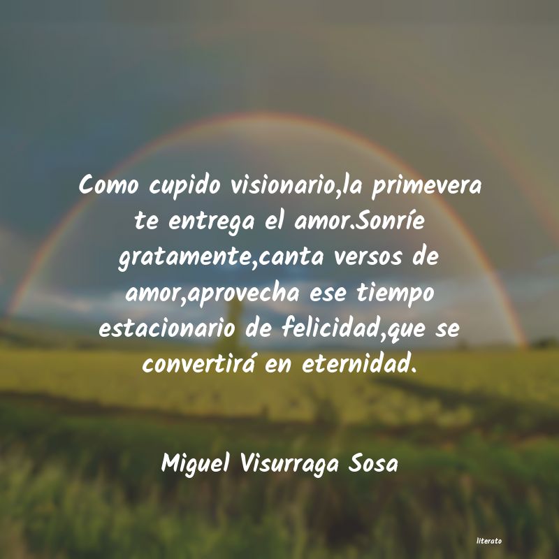 frases de Miguel Visurraga Sosa