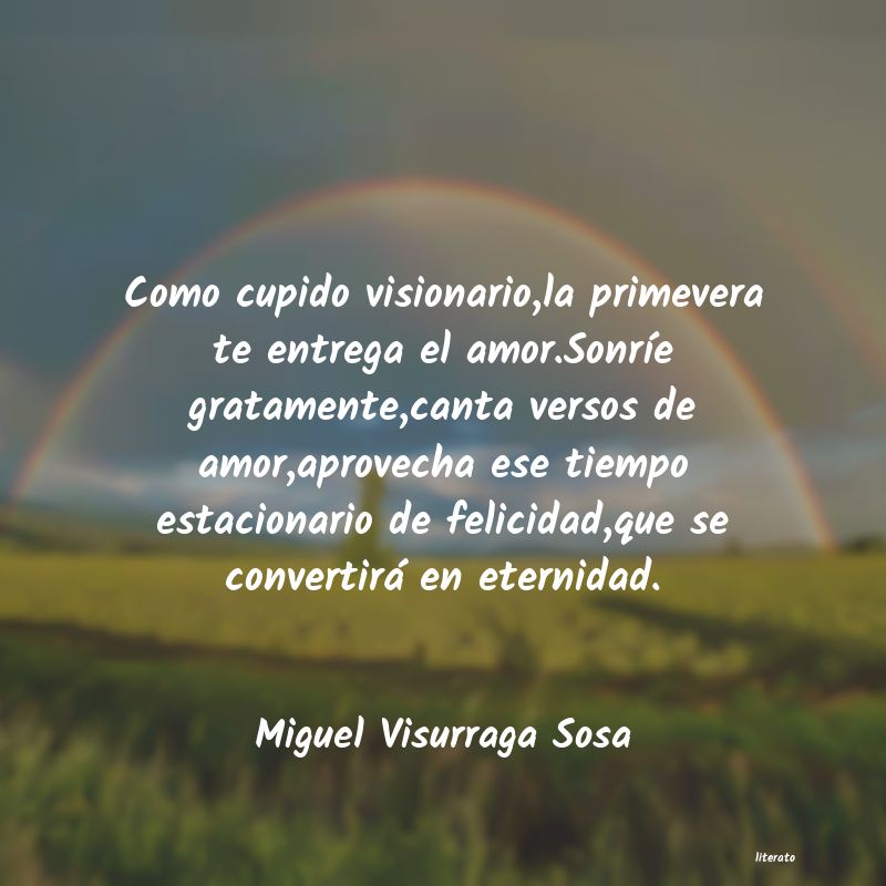 Frases de Miguel Visurraga Sosa