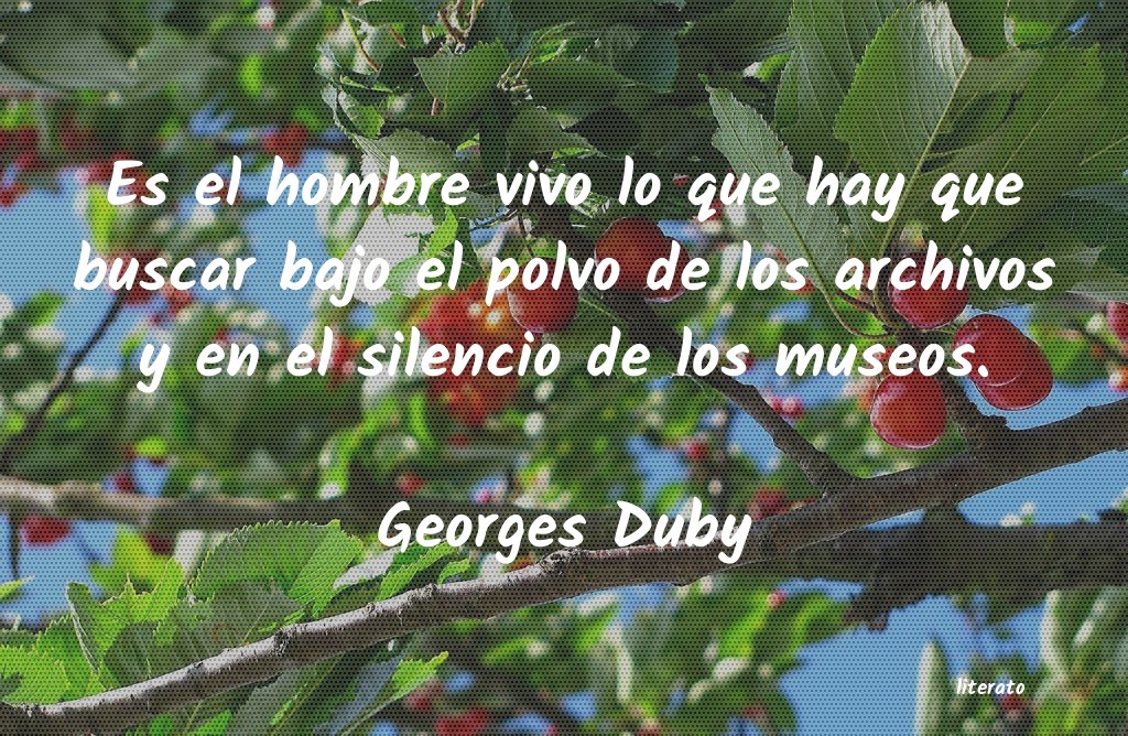 frases de Georges Duby