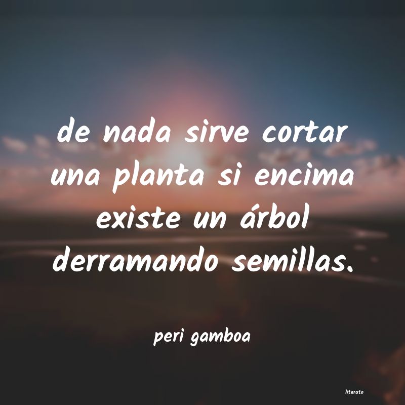 Frases de peri gamboa