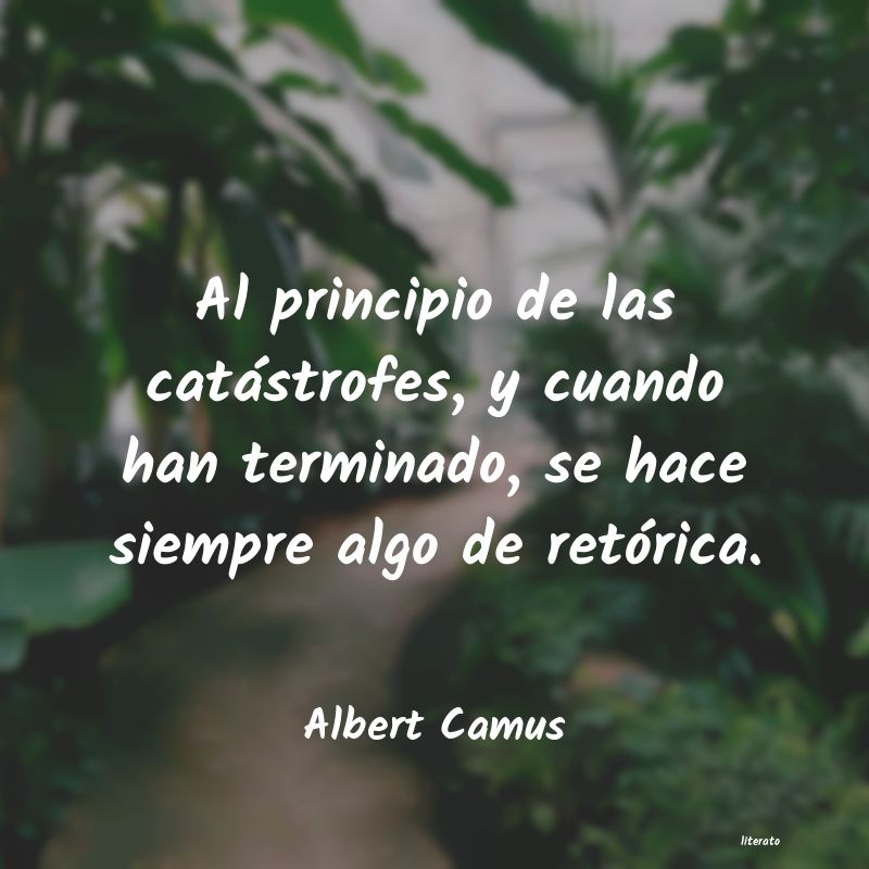 Frases de Albert Camus