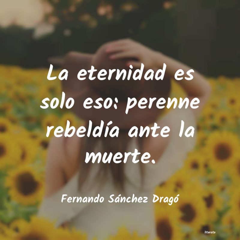 Frases de Fernando Sánchez Dragó