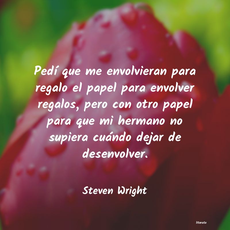 Frases de Steven Wright