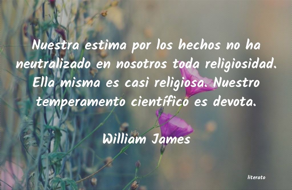 Frases de William James