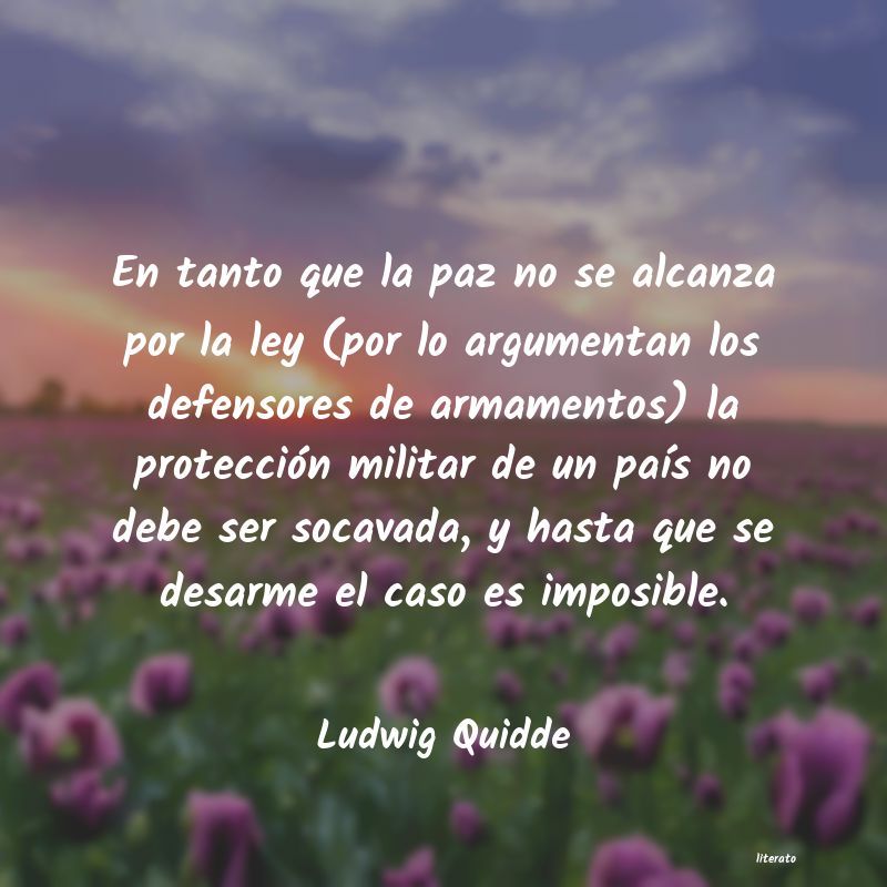 Frases de Ludwig Quidde