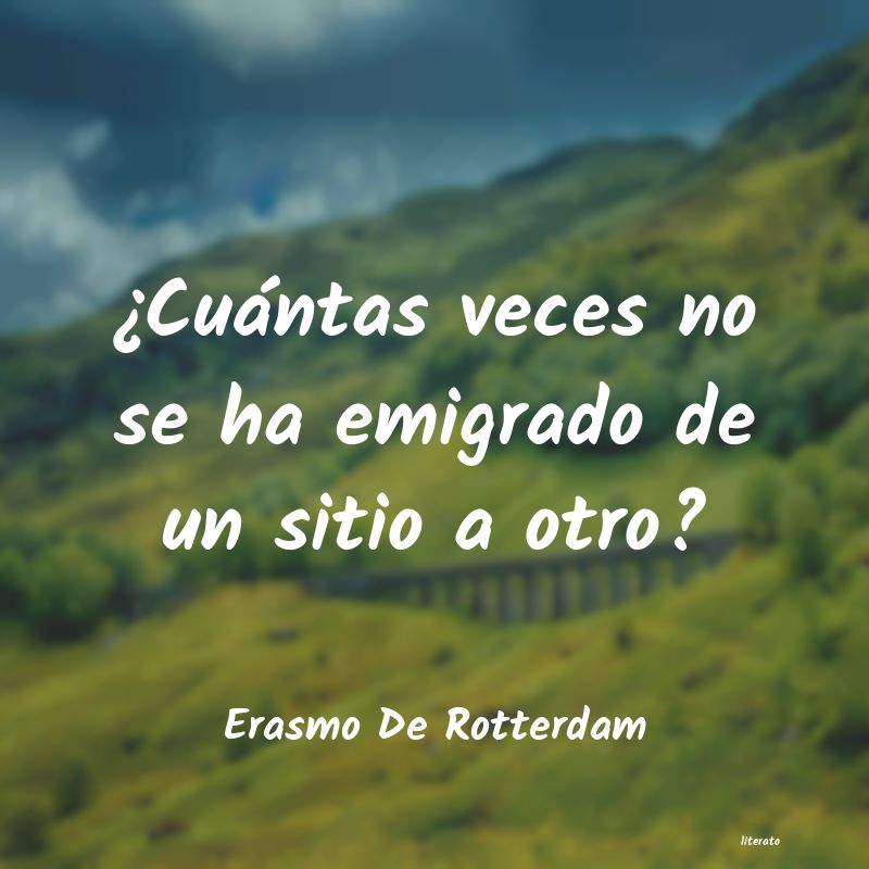 erasmo de rotterdam que decir