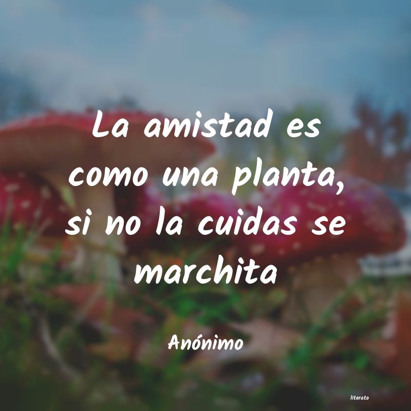 frases