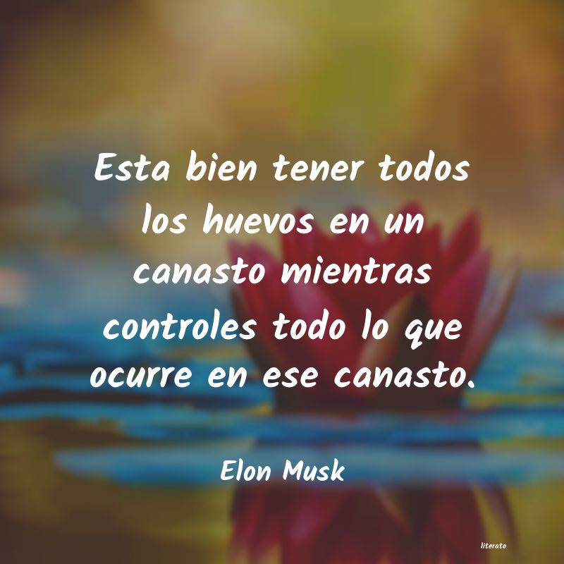 Frases de Elon Musk