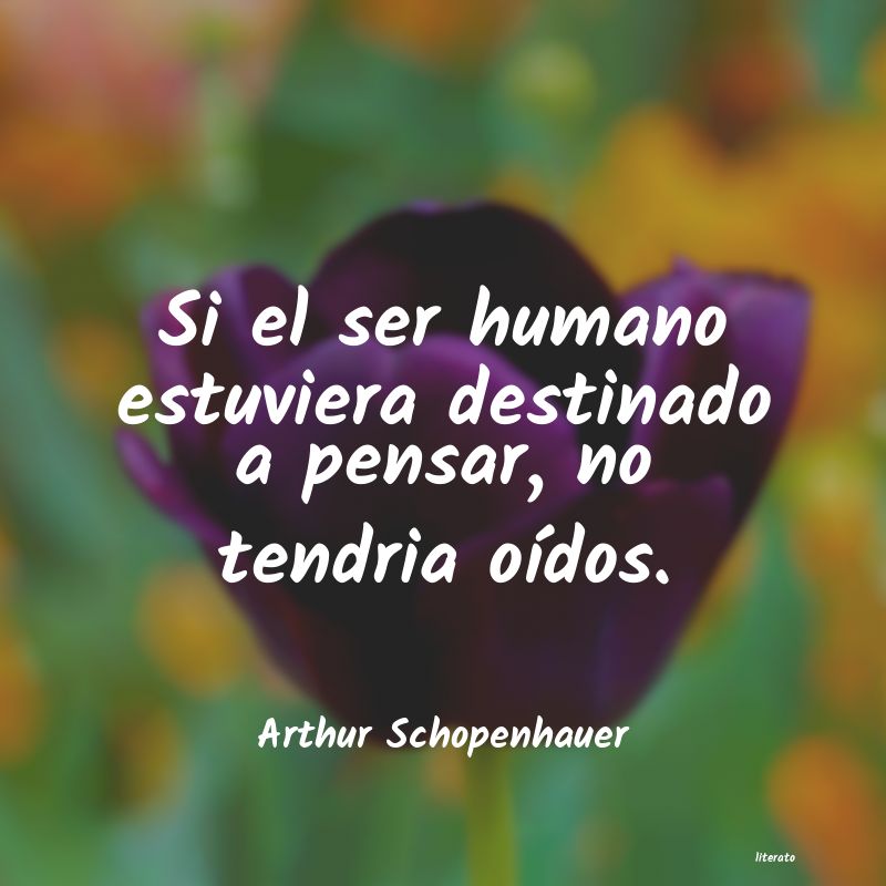 Frases de Arthur Schopenhauer