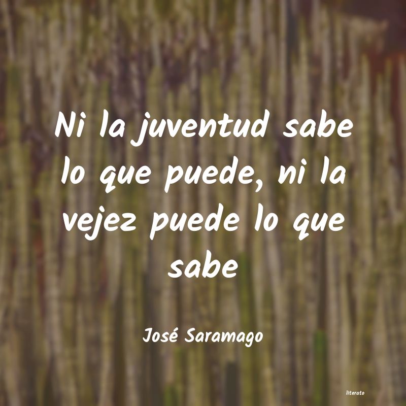 Frases de José Saramago