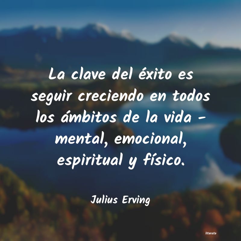 Frases de Julius Erving