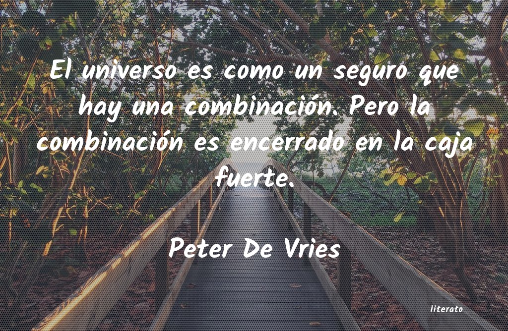 frases de Peter De Vries