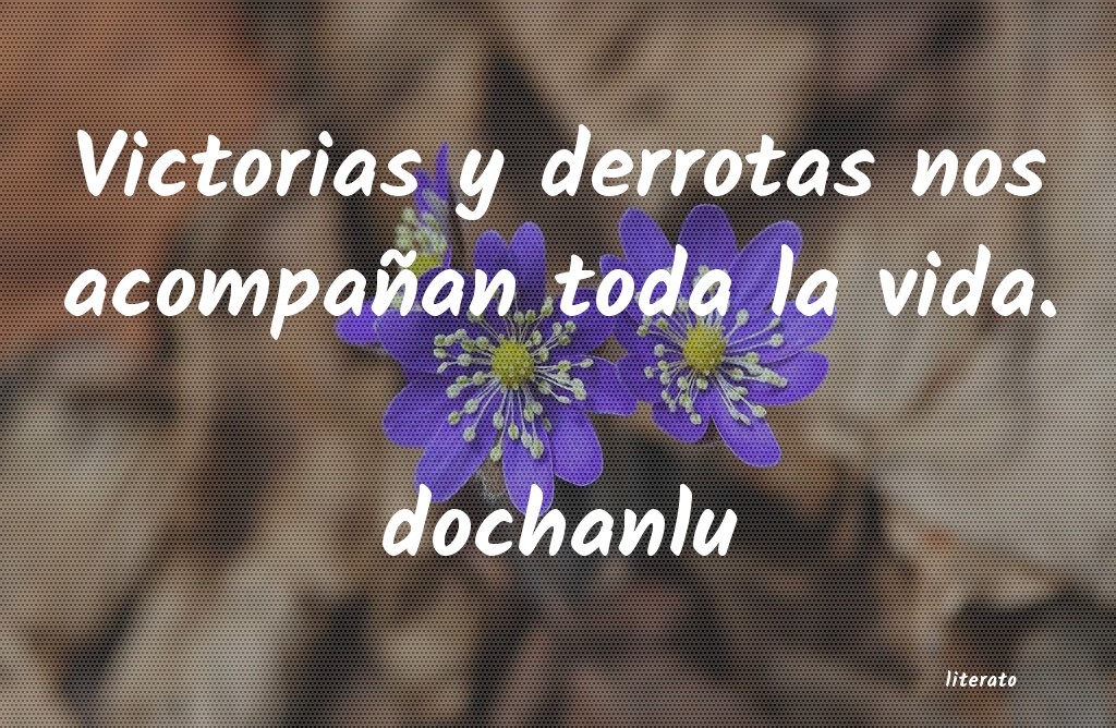 Frases de dochanlu