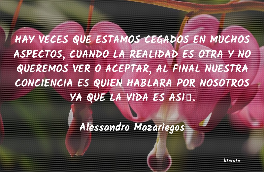 frases de Alessandro Mazariegos