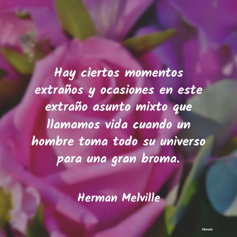 frases de Herman Melville