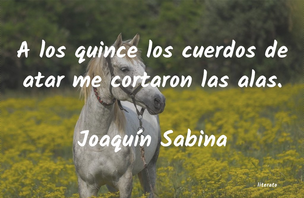 frases de JoaquÃn Sabina