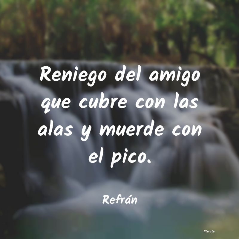 frases de Refrán