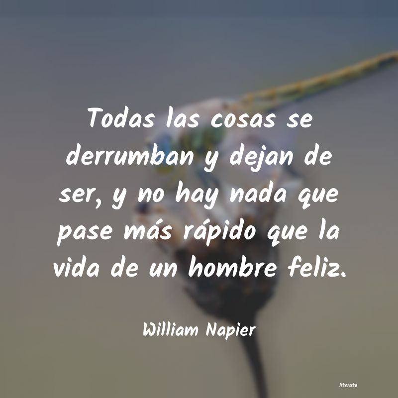 Frases de William Napier