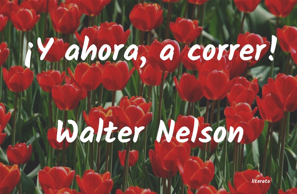 Frases de Walter Nelson