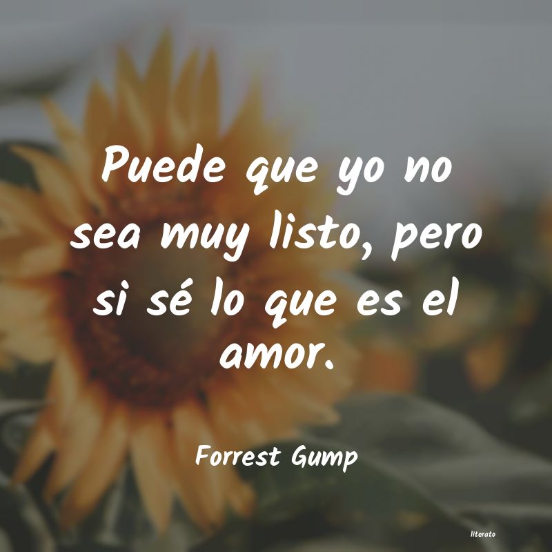 frases de Forrest Gump