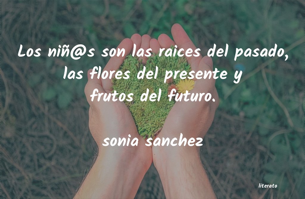 frases de sonia sanchez