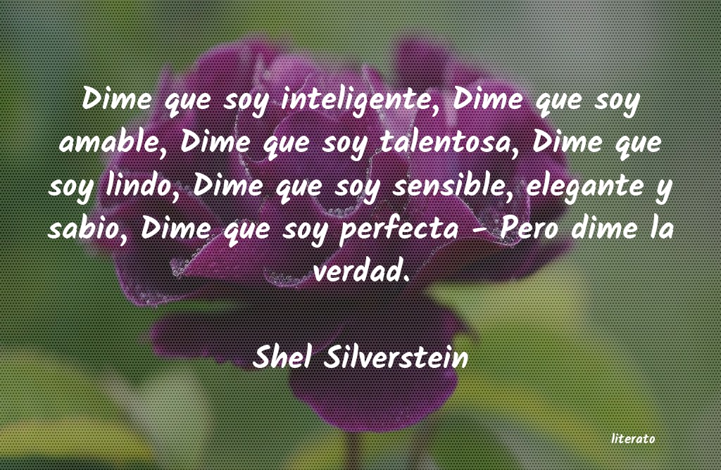 Frases de Shel Silverstein