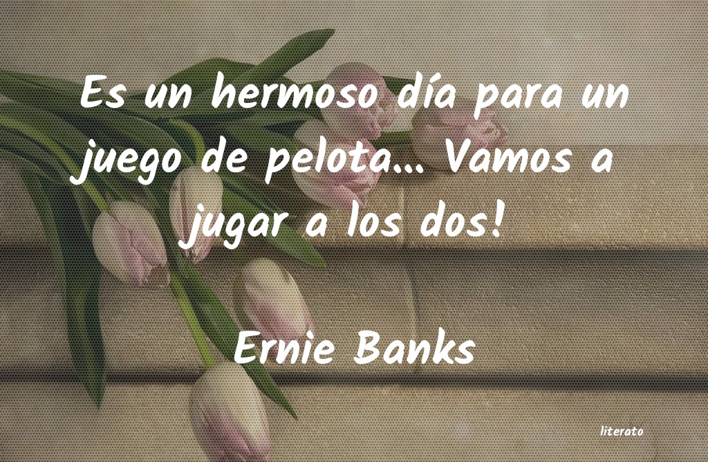 Frases de Ernie Banks