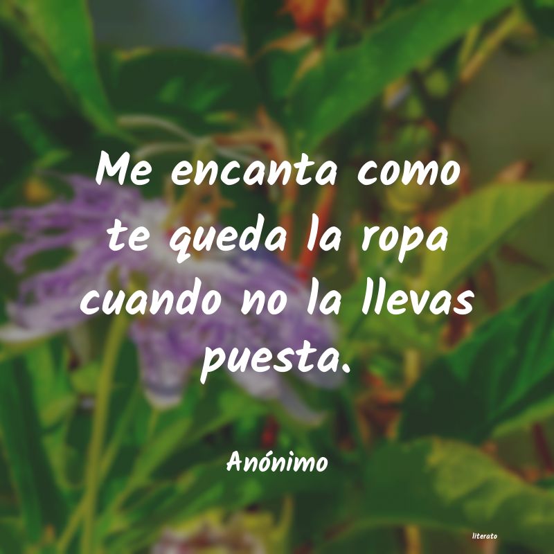 frases