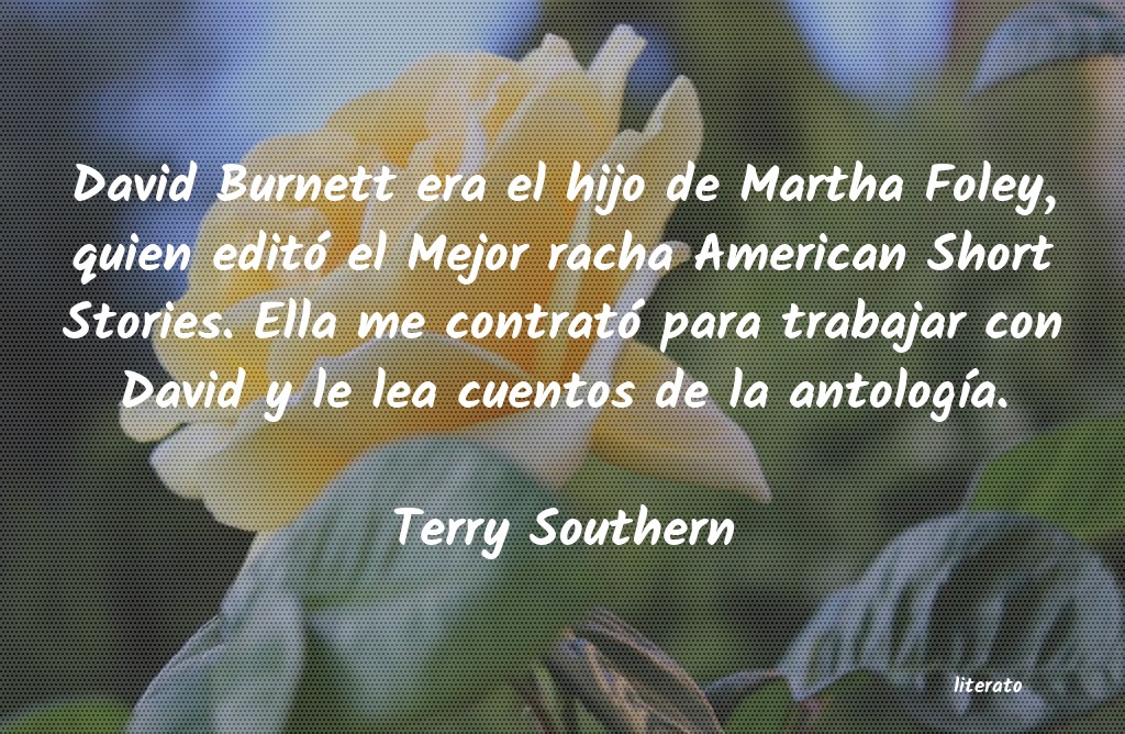 frases de Terry Southern