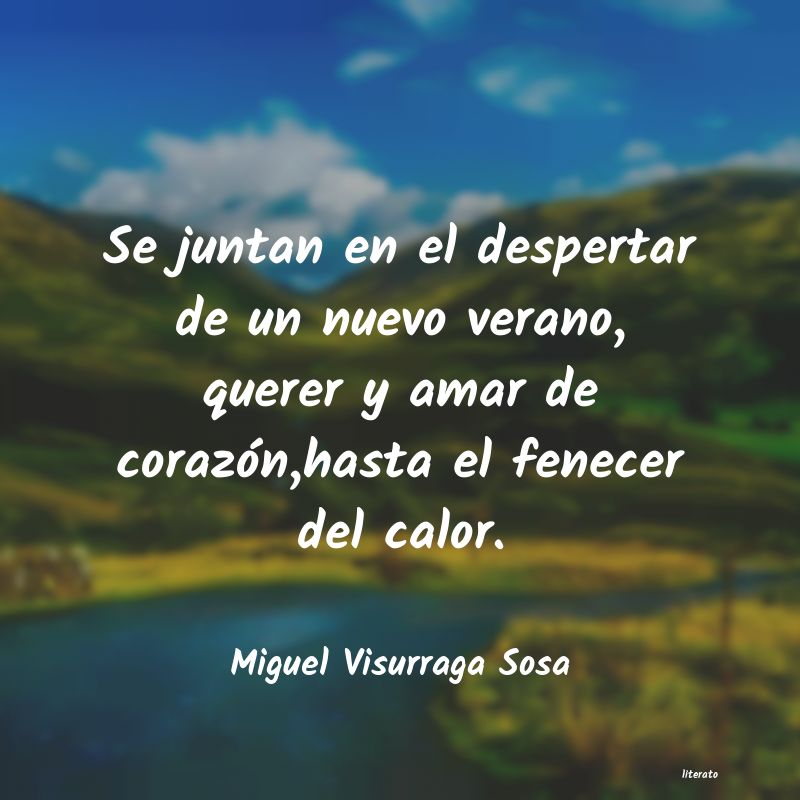 frases de Miguel Visurraga Sosa