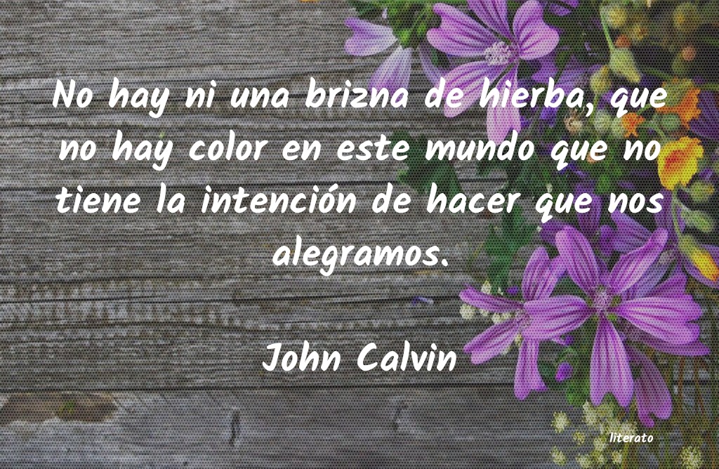 Frases de John Calvin