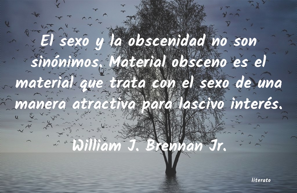 Frases de William J. Brennan Jr.