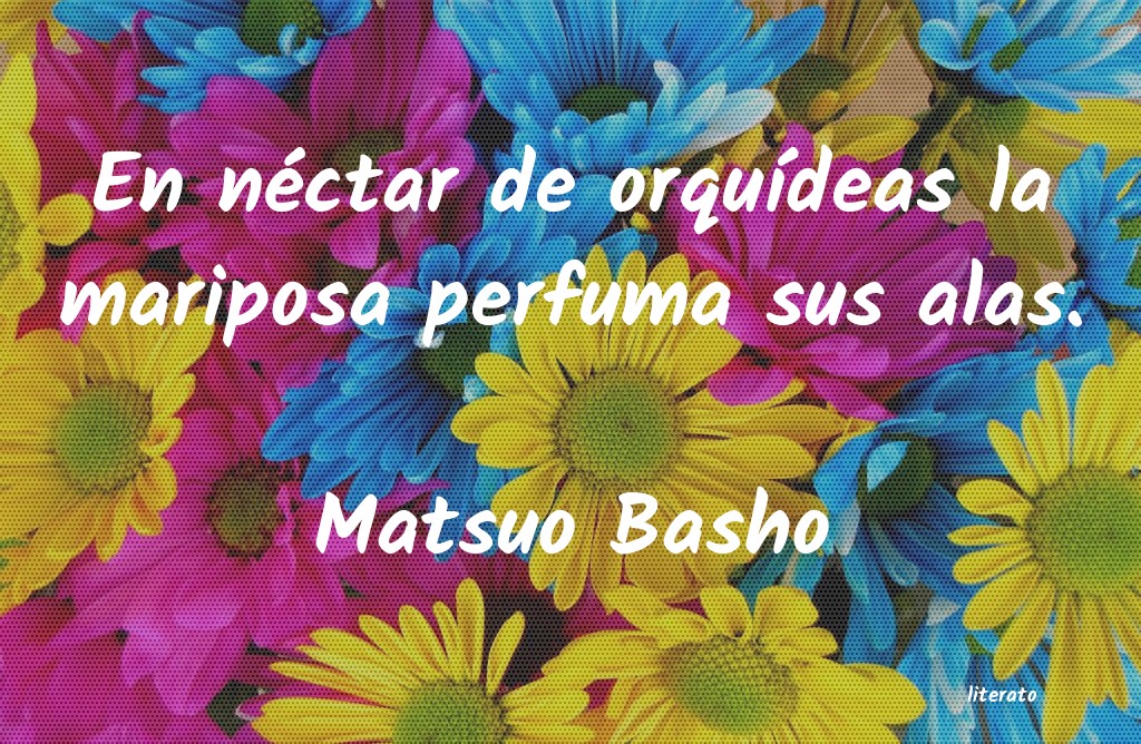 Frases de Matsuo Basho