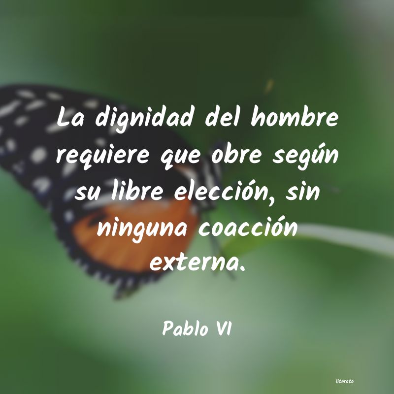 Frases de Pablo VI