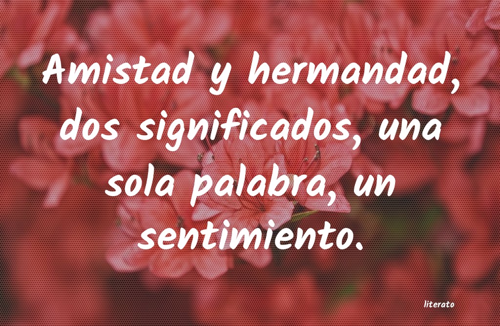 frases