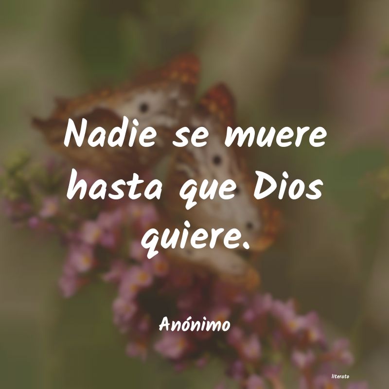 frases