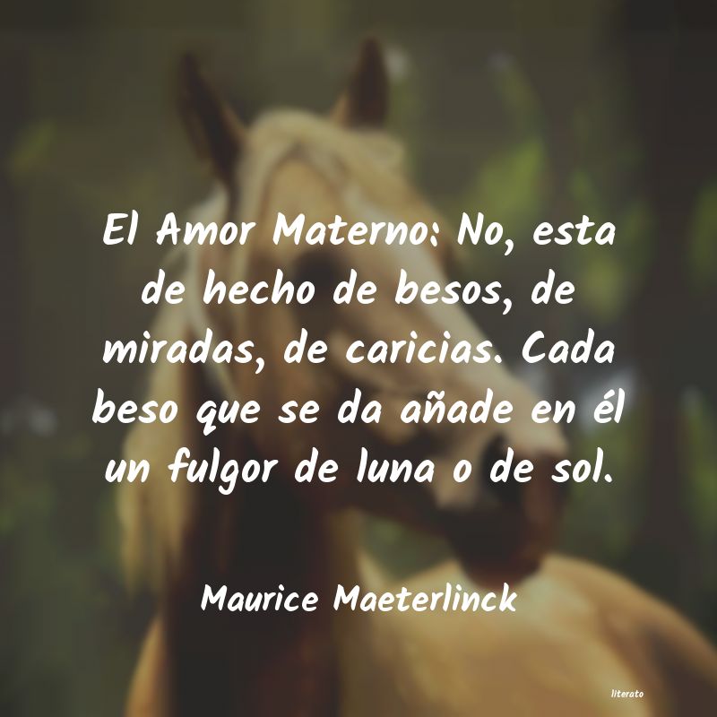 Frases de Maurice Maeterlinck