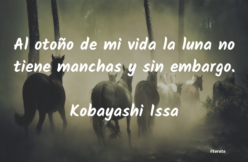 Frases de Kobayashi Issa