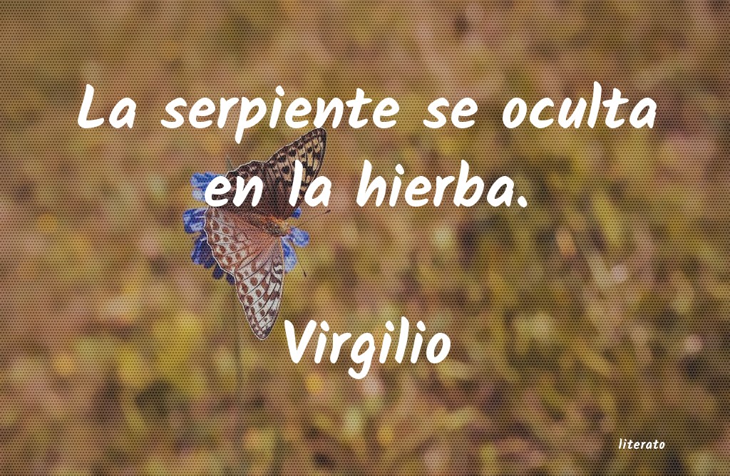 frases de Virgilio