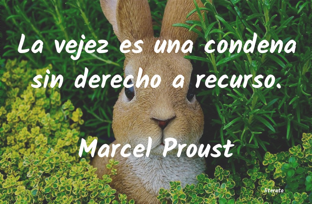 Frases de Marcel Proust