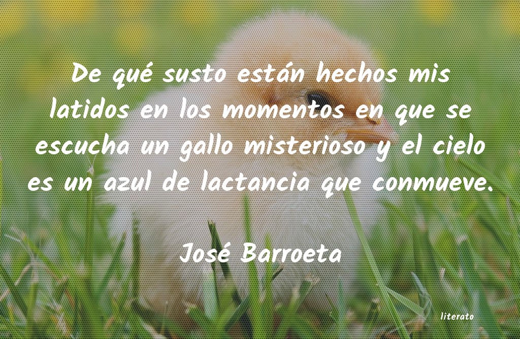 frases de José Barroeta