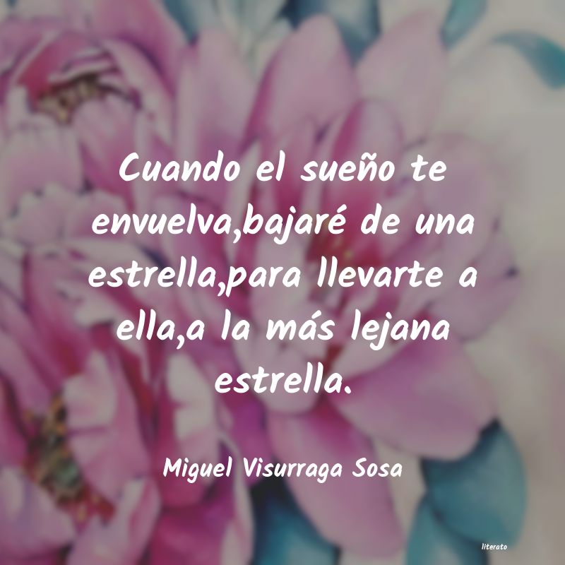 frases de Miguel Visurraga Sosa