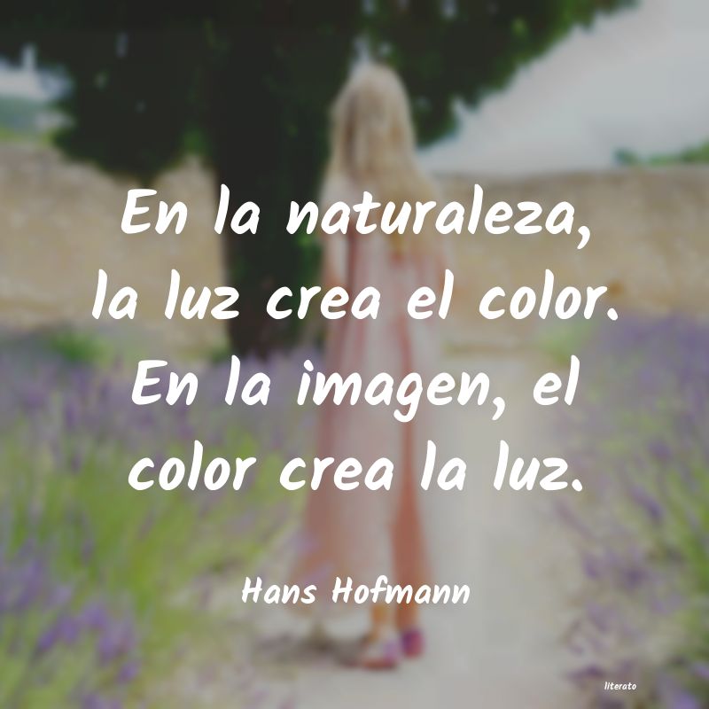 frases de Hans Hofmann