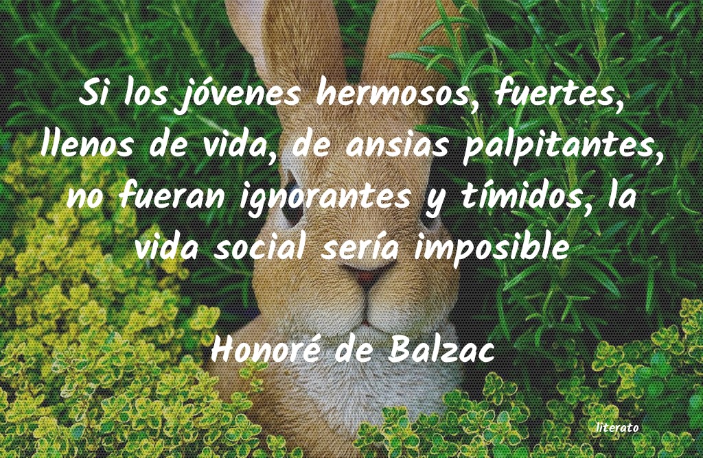 Frases de Honoré de Balzac