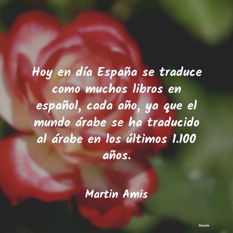 Frases de Martin Amis