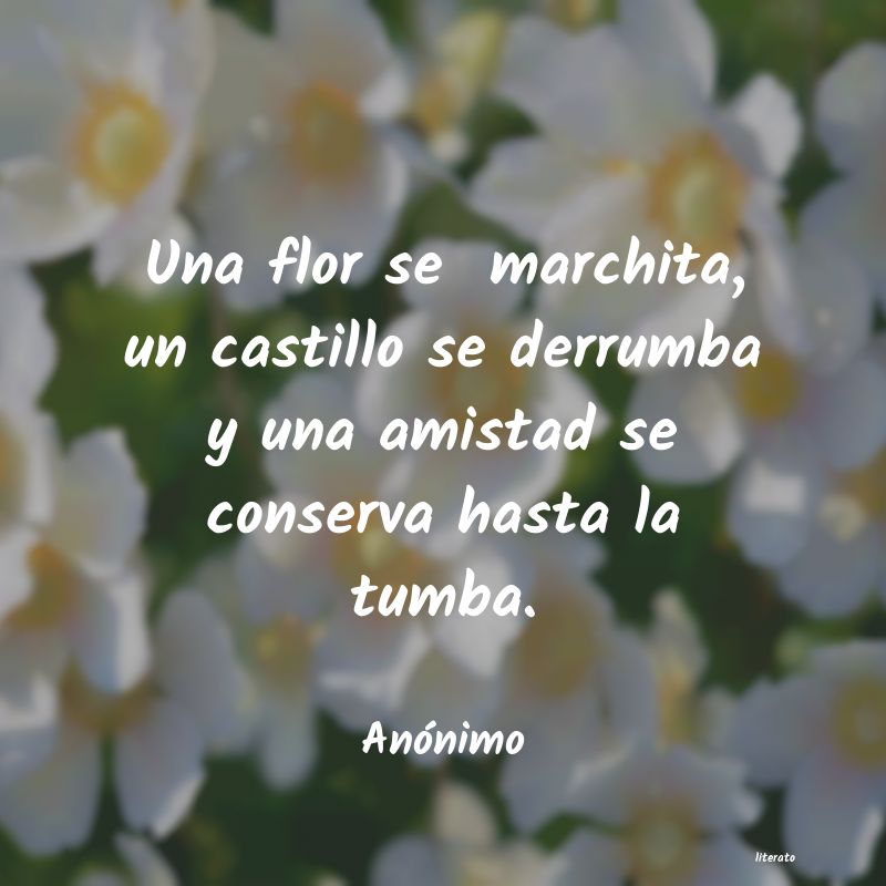 Frases de