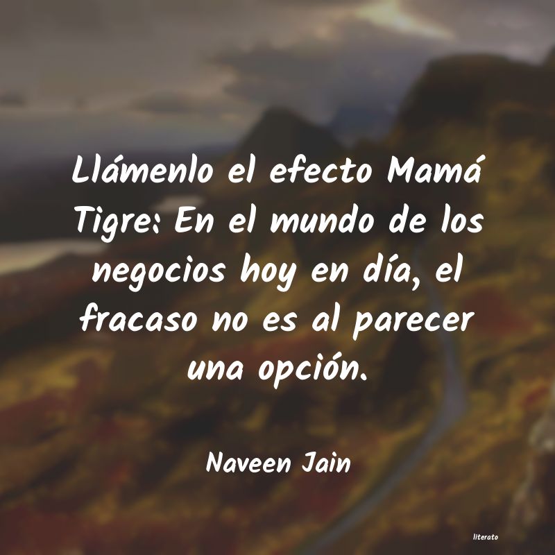 Frases de Naveen Jain